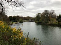 Malmö i höstskrud