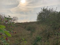 Klagshamn när havet ligger blankt