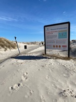 Sandhammaren