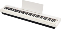 Digitální piano k zapůjčení