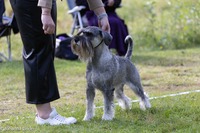 Åsarna 7-8/8-21 "Vega"