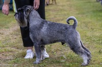 Åsarna 7-8/8-21 "Boris"