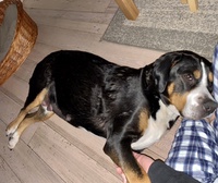 Morgenkuscheln immer schön