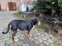 Und was soll ich sagen? Männer, erst Kinder machen und dann alleine lassen;-)