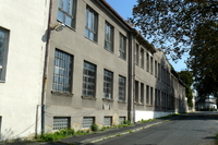 Butonia