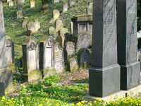 Židovský hřbitov II