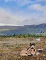 Nanook og Tanana