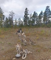 Vanning etter dagens tur
