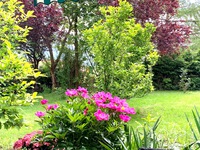 Ausblick Terrasse in den Garten