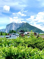 Ausblick Terrasse