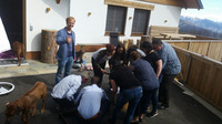 elefantenstark Teambuilding Objektbetreuer Steyr