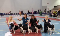 Milomiss Kasvattajaryhmä; Nella, Martta, Jella & Wanda