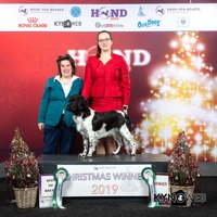 Amsterdam Winner 2019: Milomiss Northern Lights Tuuletar "Lumi" BOB CAC CABIB receiving title WINNER 2019