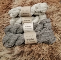 Wilhelmi