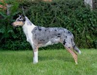 Merki - 15 months