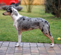 Merki - 12 months