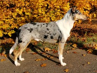 Merki - 19 months