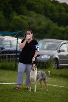 foto: Jiří Křivánek - Klubová výstava KCHCS