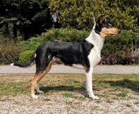 Navarra - 13 měsíců