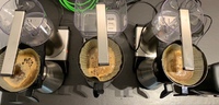 Batch Brew