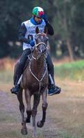 Castlebar Corsair - Hamdan bin Mhm Al Maktoum