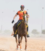 Lockelea Starwood Comet - Abdul Al Marri