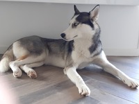 Oméga (maya)