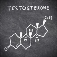 How Testosterone Is Made