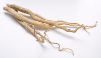 Tonkat Ali Helps Lower Estrogen