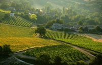 Viñedos de la AOC Gaillac
