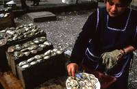 Puerto Montt. Degustación de ostras