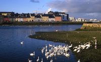 Galway