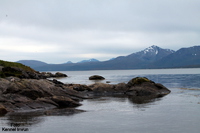 I and Marit took Flores down to the water, Telegrafbukta was the name of this place. Flores loved it