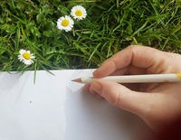 SEO Texte auf Anfrage bestellen