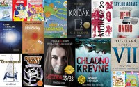 Prosinec 2018 - thrillery i knížky pro nejmenší