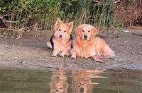 Charly & Max