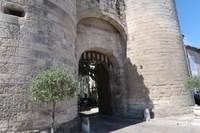 Tarascon