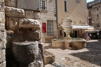 Vence