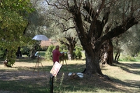 Le jardin des Collettes - Cagnes sur Mer