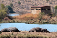 Hide u Makorwane Dam.