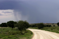 déšť nad Kalahari