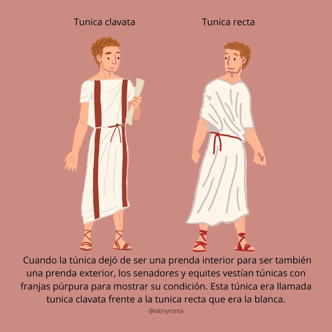 La túnica masculina romana Latín y Roma