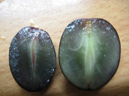 Fotó: Boldizsár Erika