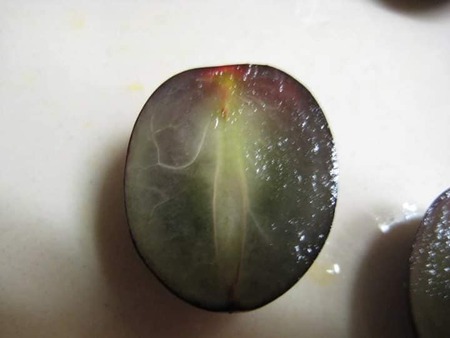 Fotó: Boldizsár Erika