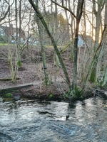 Landfäste Oryd stockar - Bild 4