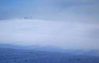 Stopy prapůvodních tarpanů ve volné přírodě už dávno zavál sníh. Zdroj: foto autor
