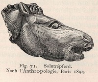 Nejen koňské kosti se nacházely v archeologicky jedinečné oblasti francouzského Solutrée. Zdroj: archiv autora