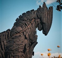 Trójský kůň. V řecké mytologii jedna z posledních akcí deset let trvající trójské války. Skupinka Řeků pod vedením Odysseovým se ukryla do útrob dřevěného koně a když jej Trójané vtáhli dovnitř, Odysseovi lidé otevřeli bránu a ostatní řecké bojovníky vpustili dovnitř. Dobytí a zničení hrdého města Trója tak dokonali. Zdroj: Unsplash
