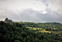 Lesnatá krajina středověkých panství plná zvěře přímo vybízela k lovu. Zdroj: foto autor