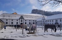 Kláštery, střediska vzdělanosti avšak i zdánlivé nedotknutelnosti, se ve středověku staly pro koně vítaným zázemím před válečnými událostmi i kořistnickými taženími. Zdroj: Pixabay